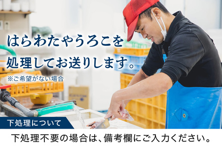 浜田の旨い鮮魚直送便 海鮮 セット 海鮮 【006_2043】