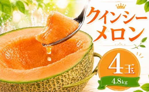 【2027年発送】 クインシー メロン ＼ 生産量 日本一 ！／ クインシー メロン （4玉 入り1箱）約4.8kg前後 メロンの村田 先行予約 赤肉 追熟 産地直送 メロン めろん おすすめ 人気 大きい 定番 ギフト プレゼント 贈り物 国産 フルーツ 果物 茨城 鉾田