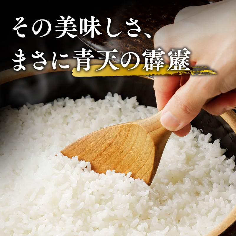 令和6年産 青天の霹靂5kg