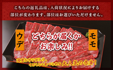 宮崎牛 モモ or ウデ 赤身焼肉1.5kg 宮崎牛 赤身 焼肉
