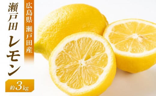 瀬戸田レモン3ｋｇ　＜2025年11月上旬より発送開始＞【レモン れもん フルーツ 果物 青果 柑橘  瀬戸田レモン 国産 有機 お取り寄せグルメ 尾道市】