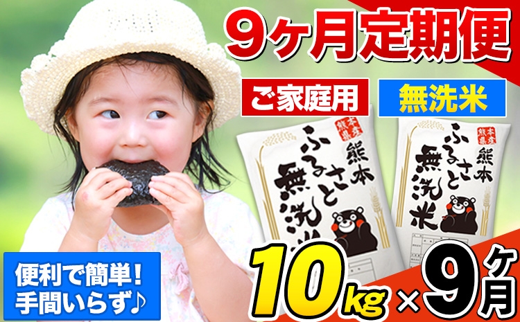 
            【9ヶ月定期便】熊本ふるさと無洗米 10kg 訳あり 米 コメ こめ 熊本県産 米 ふるさと納税 わけあり 以上のお米ならこれ お米 おこめ 熊本 むせんまい kome musennmai 定期便《お申し込みの翌月から出荷》
          
