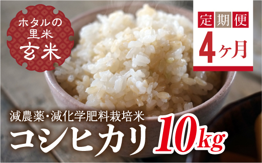 
                   ＜定期便4ヶ月＞ 令和8年産米【ホタルの里米】環境に配慮し農薬を減らした栽培米 コシヒカリ玄米10kg  F4D-2306
                