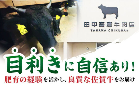 【全12回定期便】佐賀牛 赤身スライス 500g [HBH061] 佐賀牛 赤身 スライス 国産 定期便