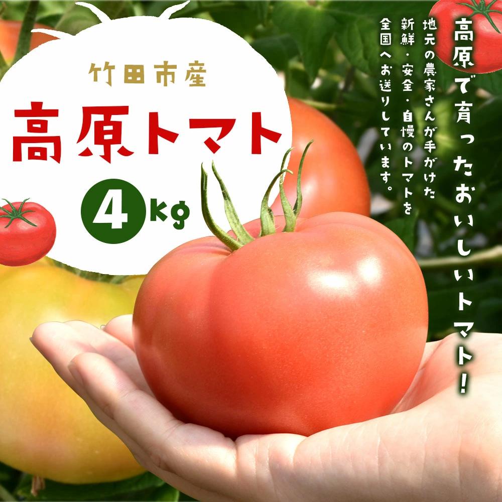 【竹田市産】高原トマト 4kg (約16～28個) 【ベジスタとまとちゃん】【2025年5月下旬-2026年1月上旬発送予定】