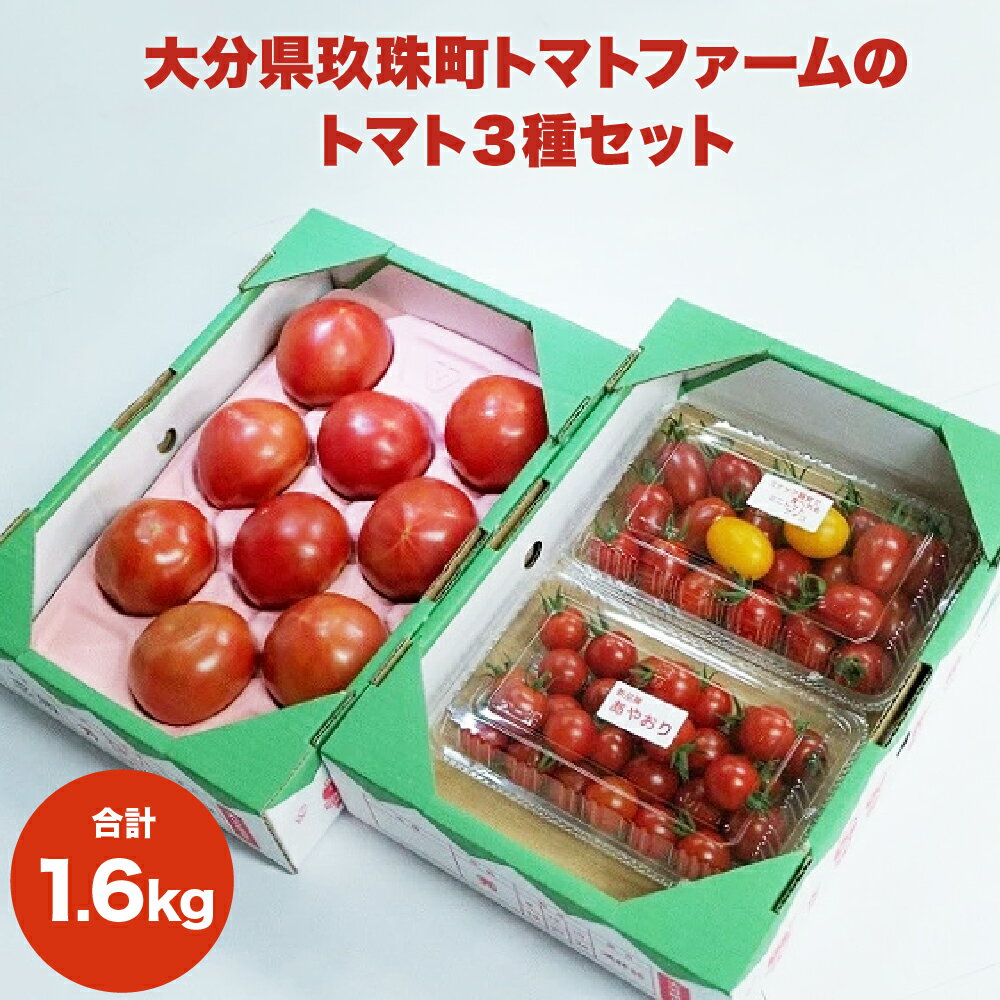 【ふるさと納税】トマト3種セット 1.6kg （観光農園トマトファーム） 大分県 玖珠町 トマト 食べ比べ 大玉 ミニトマト 感激 アイコ あやおり 高原 栽培 農園 甘い 美味 トマトファーム 安心 安全 観光 観光農園 春 冬