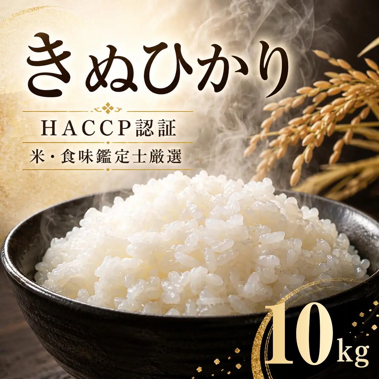 【10月より順次発送】 令和8年度産 丹波産 きぬひかり 10kg（5kg×2） / 米 お米 国産 綾部市 / 株式会社丸越［BSCI005］