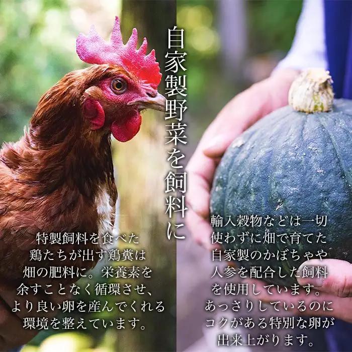 【定期便3か月】国産飼料にこだわった鶏が産む安全安心の 『レモン色たまご』30個（25個＋割れ保証5個） ［Hn7］