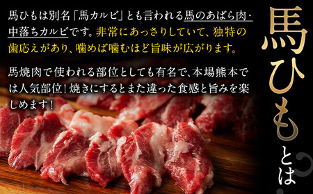 馬ひも 馬刺し用 320g (80g×4袋) 《7-14営業日以内に出荷予定(土日祝除く)》 熊本県 氷川町 肉 馬ひも 馬肉
