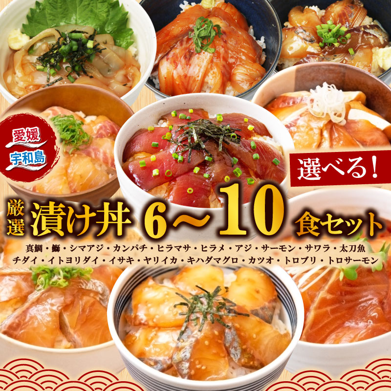 【ふるさと納税】 漬丼 厳選 活締め 全18種 お任せ 漬け丼 選べる 6食 〜 10食 セット 南予ビージョイ 真鯛 鰤 シマアジ カンパチ ヒラマサ ヒラメ アジ サーモン サワラ 太刀魚 チダイ イトヨリダイ イサキ ヤリイカ キハダマグロ カツオ 時短 米 コメ こめ お手軽 宇和島
