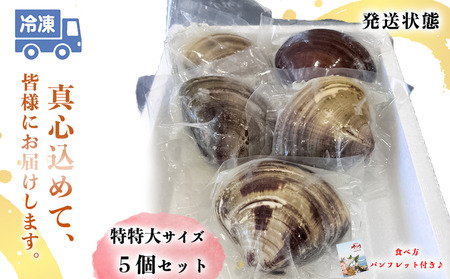岬だよりの 個包装 大粒!天然はまぐり(特特大サイズ)170g前後×5個入り [配送不可地域：離島]