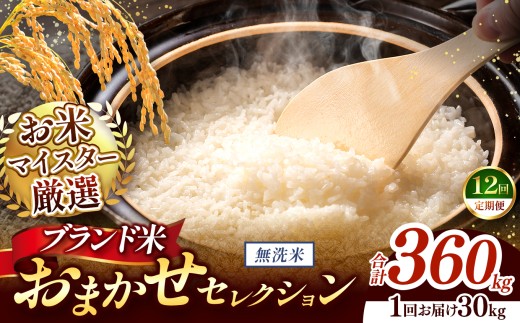 【 令和7年産 】おまかせ セレクション 【定期便12回】熊本県産 無洗米  ＜ひのひかり / 森のくまさん / くまさんの輝き ＞ 30kg  | 単一銘柄 米 単一米 お米 こめ 小分け 人気 コメ お米 5kg 10kg 15kg 20kg 25kg 30kg 定期便 3回 6回 12回 ブランド米 菊池川流域 家庭用 送料無料 熊本 くまもと 熊本県 和水 和水町 人気 ごはん