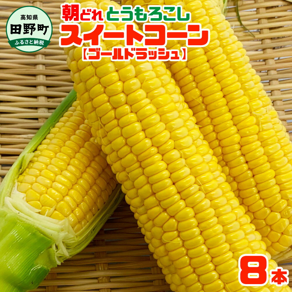 【ふるさと納税】～四国一小さなまちのとうもろこし～★2025年6月上旬頃発送開始予定★ とうもろこし スイートコーン ゴールドラッシュ 8本 数量限定 朝どれ 新鮮 甘い 野菜 産地直送 国産 冷蔵 配送 高知県 ふるさとのうぜい 故郷納税 返礼品 田野町 8000円