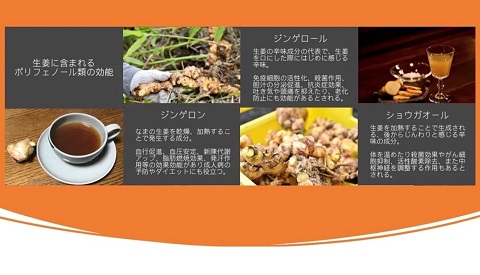 蒸し生姜シロップ濃味2本セット 栽培期間中農薬不使用で自然な美味しさ：B170-012