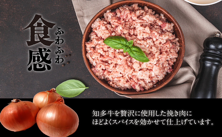 知多牛100％手作りハンバーグ　120g×6個入り