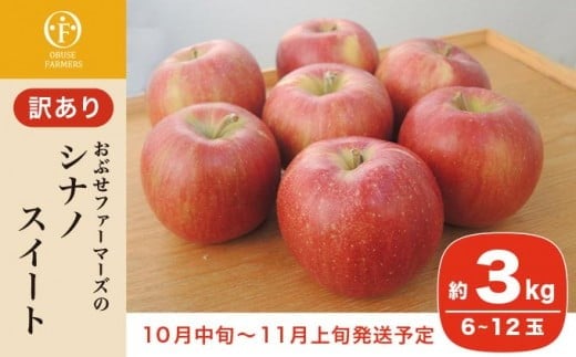 【訳あり】 シナノスイート 約3kg 6～12玉［おぶせファーマーズ］ 2023年10月中旬〜12月中旬発送 不揃い 規格外 家庭用 果物 フルーツ りんご 林檎 リンゴ 果物 フルーツ 長野県産 信州産 ［FH-54］