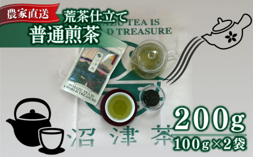普通 煎茶 100g 2袋 合計200g 2026年産 農家直送 お茶 茶葉 静岡 沼津