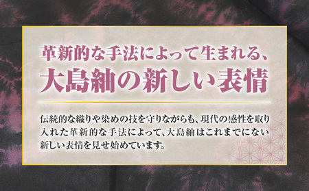 【 本場奄美大島紬 】 絞り染め 黒・牡丹色 A019-005 大島紬 奄美大島紬 着物 伝統工芸品 伝統 工芸品 衣類 おしゃれ 洋服 スーツ 原絹織物 ふるさと納税 鹿児島 奄美市 おすすめ ラン
