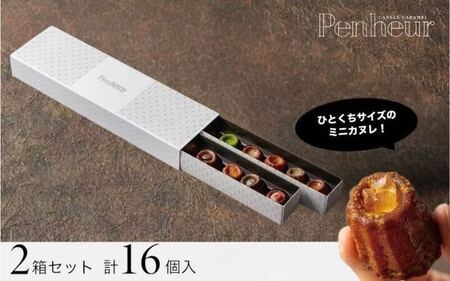 【Penheur】北野カヌレ 16個入り ／プノール カヌレ お菓子 洋菓子 焼き菓子 ギフト 手土産 定番 季節限定 アフタヌーンティー パーティー おやつ 神戸 北野 かわいいお菓子 バリエーショ