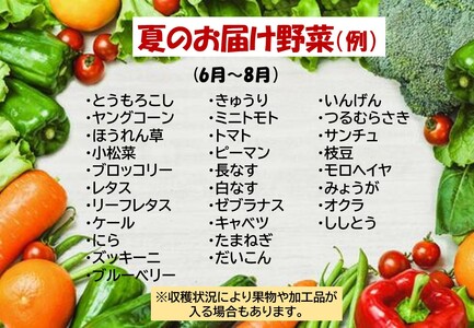 【6ヶ月定期便】 たっぷり 野菜セット B　10品 以上 　（P&Cリンク）