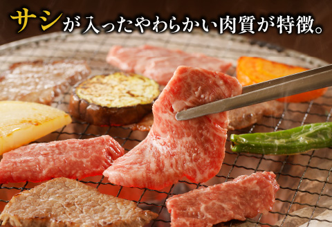 宮崎牛 カルビ 焼肉 500g |牛肉 牛 肉 カルビ 焼肉 焼き肉 やき肉 ヤキ肉