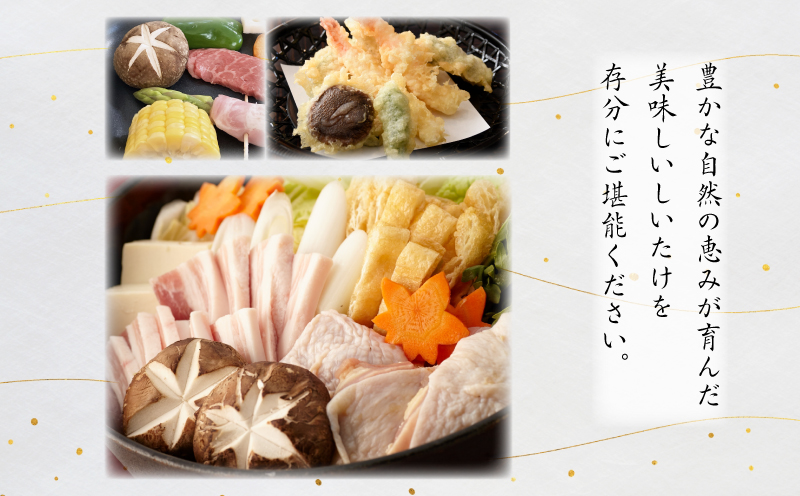 訳あり しいたけ 3kg 冷蔵 国産 徳島県 全国生産量1位 シイタケ 椎茸 生しいたけ きのこ キノコ 菌床栽培 大粒 肉厚