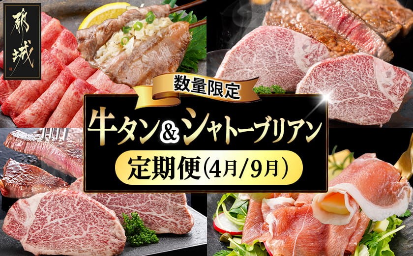 
                  【数量限定】牛タン&シャトーブリアンが届く贅沢定期便_TMM2-0101_(都城市) ヒレ 牛タン シャトーブリアン 豚生ハム 期間限定 A5
                