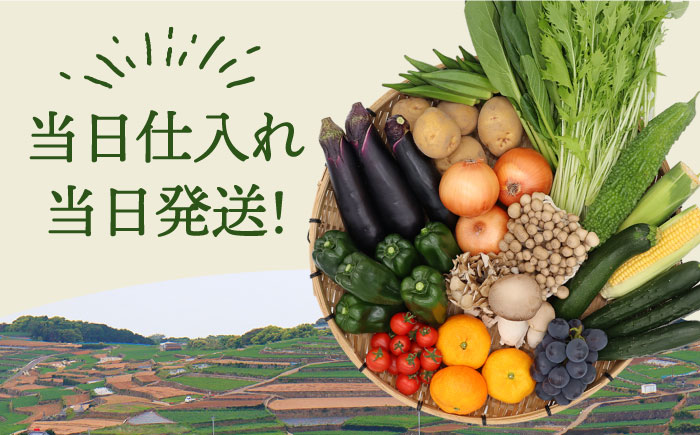 【6回定期便】野菜定期便 フルーツ・きのこをセット 15品目以上 「6回（毎月）」お届け 定期 バラエティ 詰め合わせ 野菜セット 甘い きのこセット/ 南島原市 / 吉岡青果 [SCZ002]