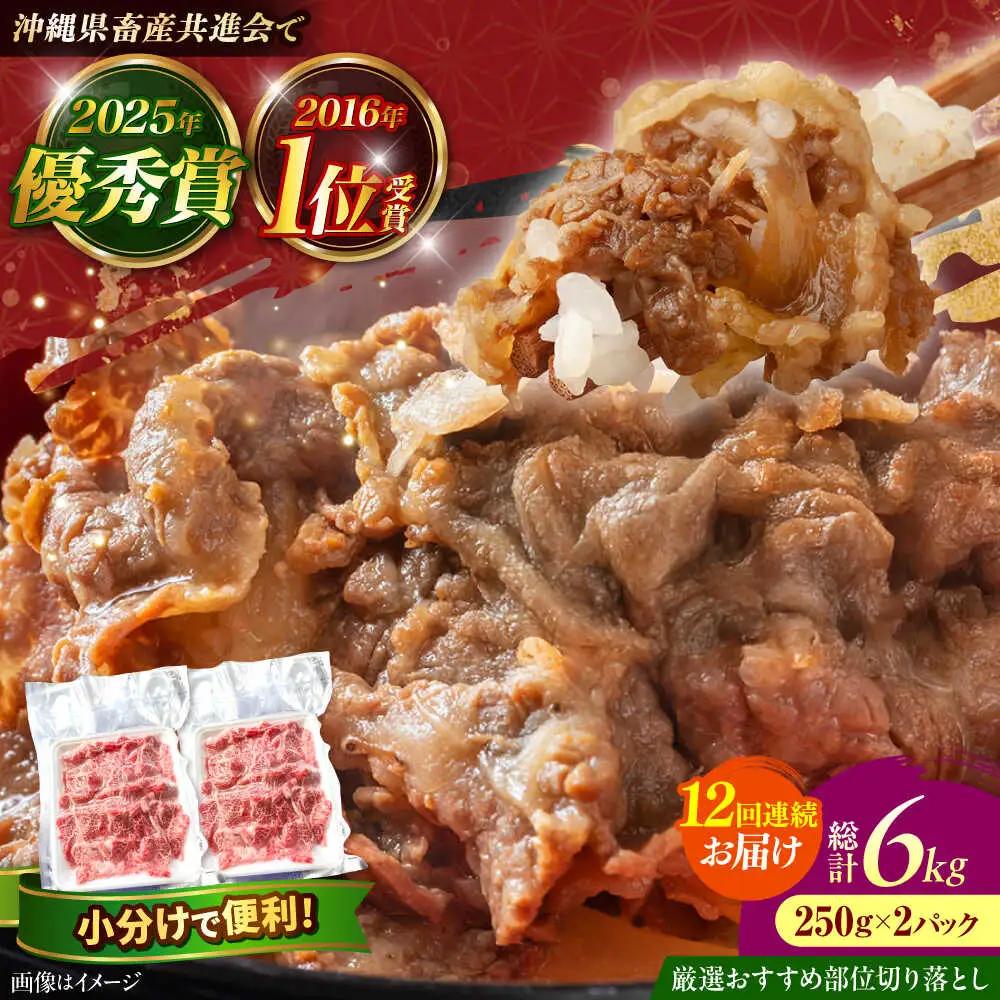 牛肉 切り落とし 500g 【全12回定期便】佐渡山牛 和牛 BCBC010