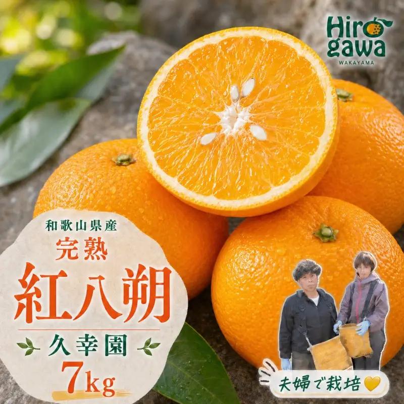 完熟 紅八朔 7kg 久幸園 / はっさく 甘い 和歌山 柑橘 ※2027年4月上旬～5月上旬頃に順次発送予定 【hsk022-beni-7】