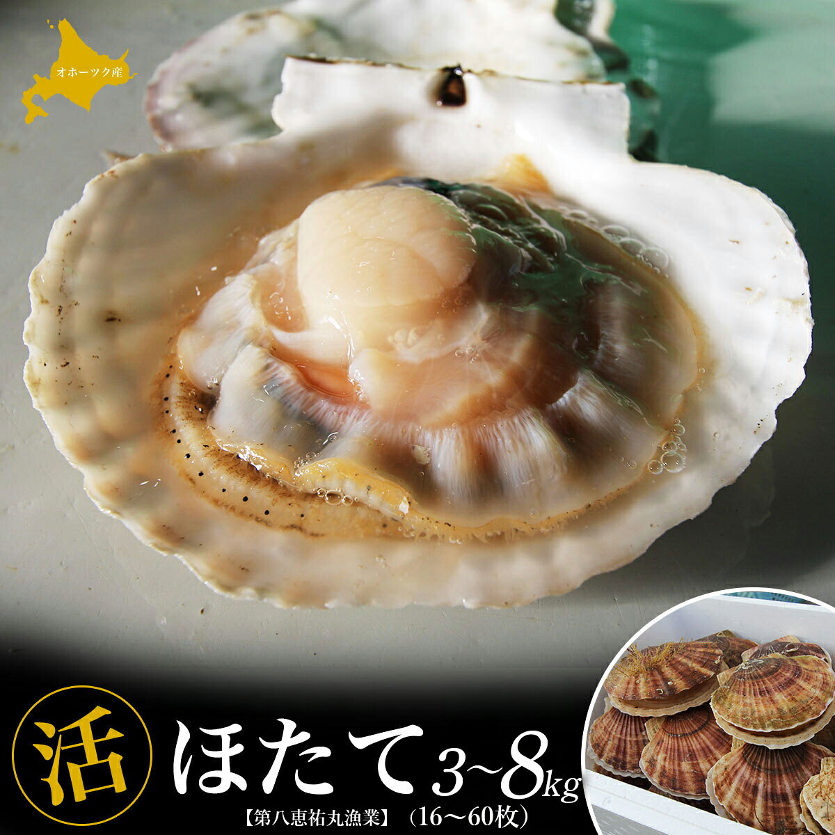 【ふるさと納税】オホーツク産 『活』 ほたて 選べる容量 3～8kg 【 ふるさと納税 人気 おすすめ ランキング 魚介類 貝 帆立 ホタテ ホタテ 帆立貝柱 ホタテ貝柱 ほたて貝柱 北海道 佐呂間町 送料無料 】 SRMN001-v