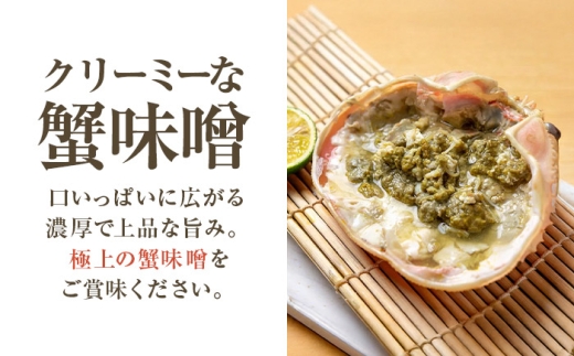 【先行予約】 【2月配送】 越前がに 1kg×1杯 小浜市 / まるほ商店 【配送不可地域：北海道・沖縄・離島】[BFCS030-2]