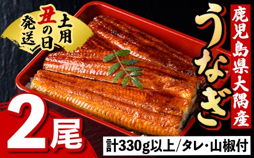 A57005 《土用の丑の日までに発送！》うなぎ蒲焼・大(有頭)(2尾・計330g以上、タレ、山椒付) 鹿児島 国産 大隅産 九州産 鰻 うなぎ ウナギ 蒲焼き うな丼 うな重 ひつまぶし 土用の丑の日 丑の日発送 スタミナ 冷凍 真空パック お土産 化粧箱 贈答 ギフト プレゼント 【一般社団法人きもつき宇宙協議会】