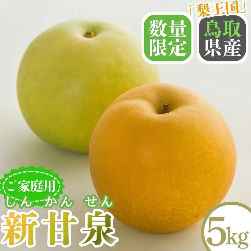 Y1011 新甘泉(家庭用) 5kg