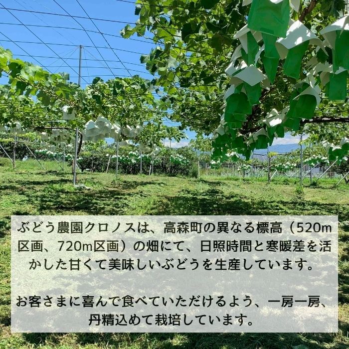 訳ありクイーンルージュ(R）2kg