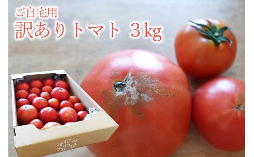 訳あり 自宅用 曽爾高原トマト3kgセット  /// 人気の品 期間限定 数量限定 季節の野菜