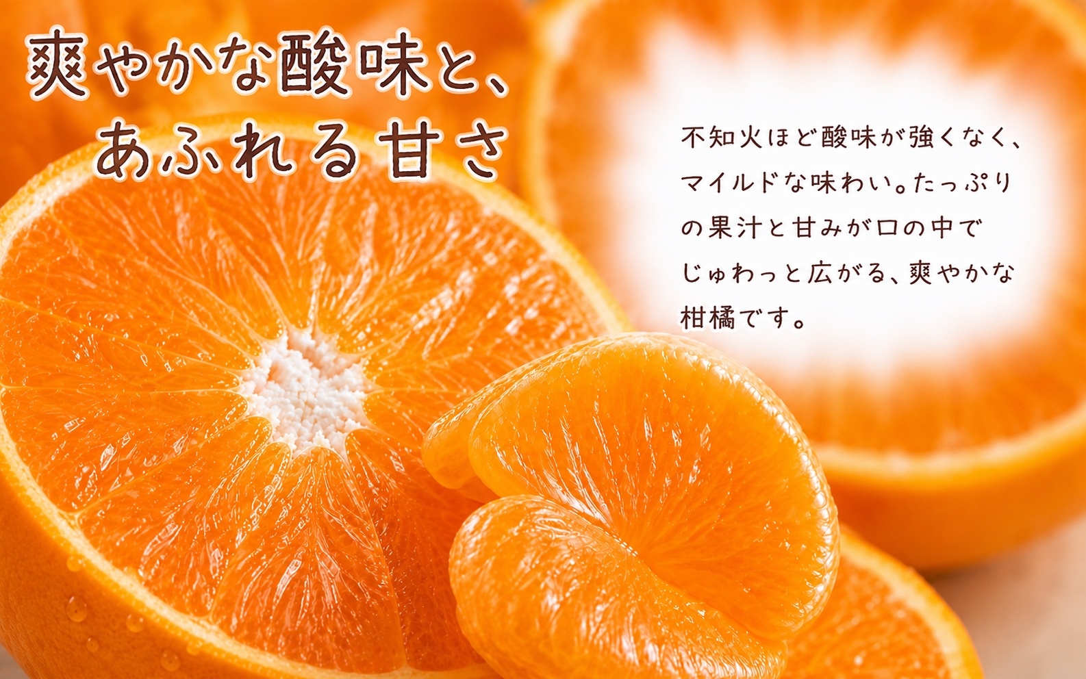 果肉ぷりぷり! 完熟はるみ 約5kg　※2027年1月下旬頃～2027年2月上旬頃に順次発送予定(お届け日指定不可) 【uot732】
