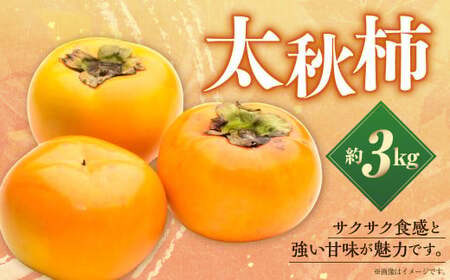 ＜ R8年熊本地震復興支援 ＞ 【数量限定】【先行予約】太秋柿 約 3kg 果物 くだもの フルーツ 柿 かき カキ 旬のフルーツ 旬の果物 冷蔵 熊本 熊本市【2026年10月上旬～11月下旬発送予定】