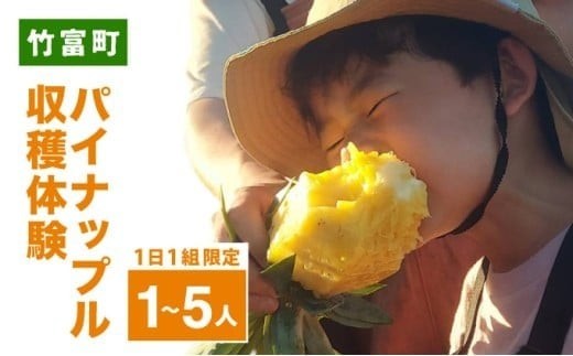 
                  パイナップル収穫体験【1～5名】爽やかな朝日を浴びた中での開催♪（4月25日～6月15日開催）
                