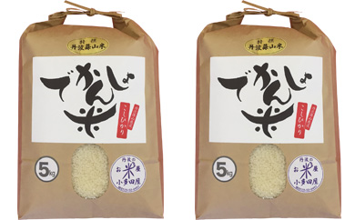 【令和7年産 2025年9月以降順次発送】お米のおいしさ伝えたい！丹波篠山産コシヒカリ5kg×2