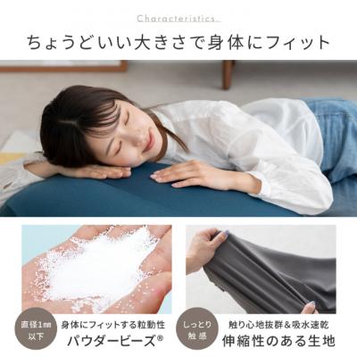 ふるさと納税 加西市 【MOGU‐モグ‐】プレミアム　フィットチェア ネイビー〔クッション〕[No5698-7629] |  | 03