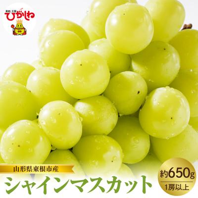 ふるさと納税 東根市 【2026年産】東根市産 シャインマスカット 約650g hi074-015