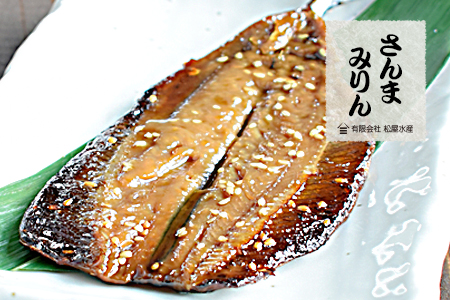 干物 詰め合わせ 6種 16点 松屋水産 干物【mtys0002】