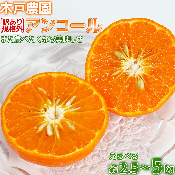 【ふるさと納税】【訳あり・規格外品】木戸農園のアンコール 約2.5〜5kg 先行予約 果物 フルーツ 傷 不揃い＜113-702_6＞