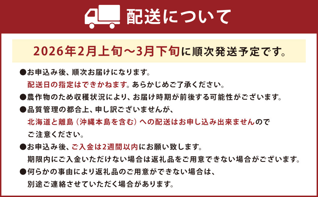 福岡産【春】あまおう6パック 