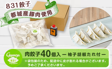 831ハチサンイチの肉餃子40個入り≪10個×4パック≫ ≪みやこんじょ特急便≫_LE-K601-Q_(都城市) 肉餃子 10個入り×4パック 都城産豚使用 柚子胡椒たれ付 