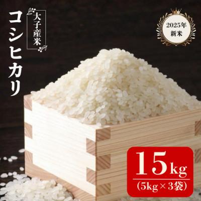 ふるさと納税 大子町 大子産米コシヒカリ(精米)15kg　茨城県 大子町 こしひかり 白米 令和7年産