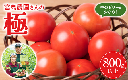 【先行予約】最高峰 トマト 極 800g 八代市産 宮島農園 甘い 野菜 やさい 【2025年2月より順次発送】