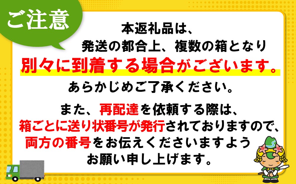 【12月24日で掲載終了】ジョージア ザ・微糖 500mlPET(2ケース)計48本【コカコーラ コーヒー 微糖 深煎り豆 コク 甘さ控えめ ペットボトル 気分転換 リフレッシュ 猿田彦珈琲監修 常備