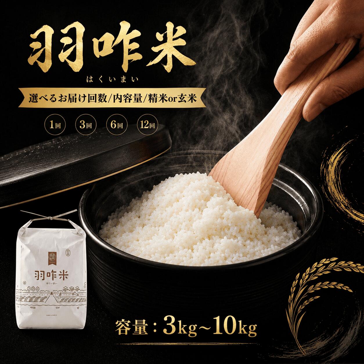 【ふるさと納税】 米 令和7年産 コシヒカリ お米 10kg 5kg 3kg / 自然栽培米 石川県産 羽咋米 白米 玄米 単品 定期便 選べる 12ヶ月 6ヶ月 3ヶ月 能登 こだわり 精米具合 選べる 数量 限定 環境 R7 こめ | ふるさと納税米 米 5kg お米 10kg 能登 石川 復興支援 災害 支援